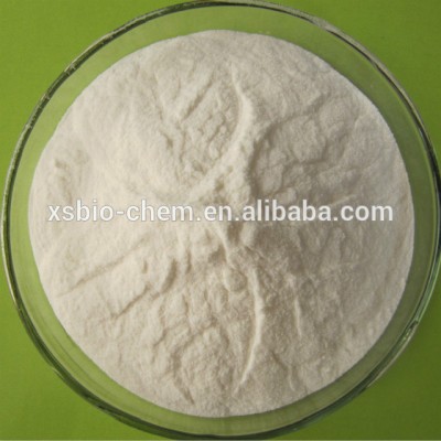 High Quality GMP standard N acetyl L cysteine