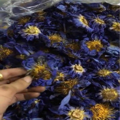 Natural Dried Blue Lotus Flower Petals